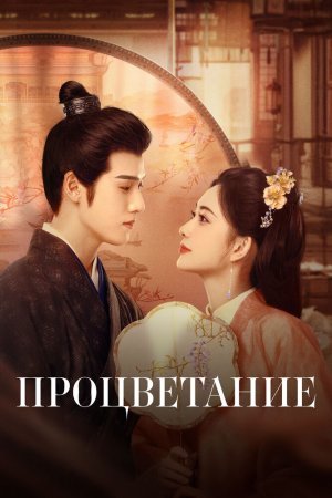 Турецкий сериал Процветание