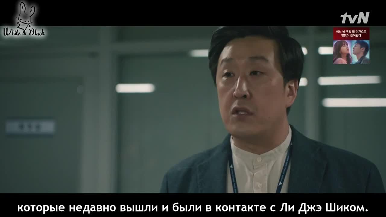 Мышь