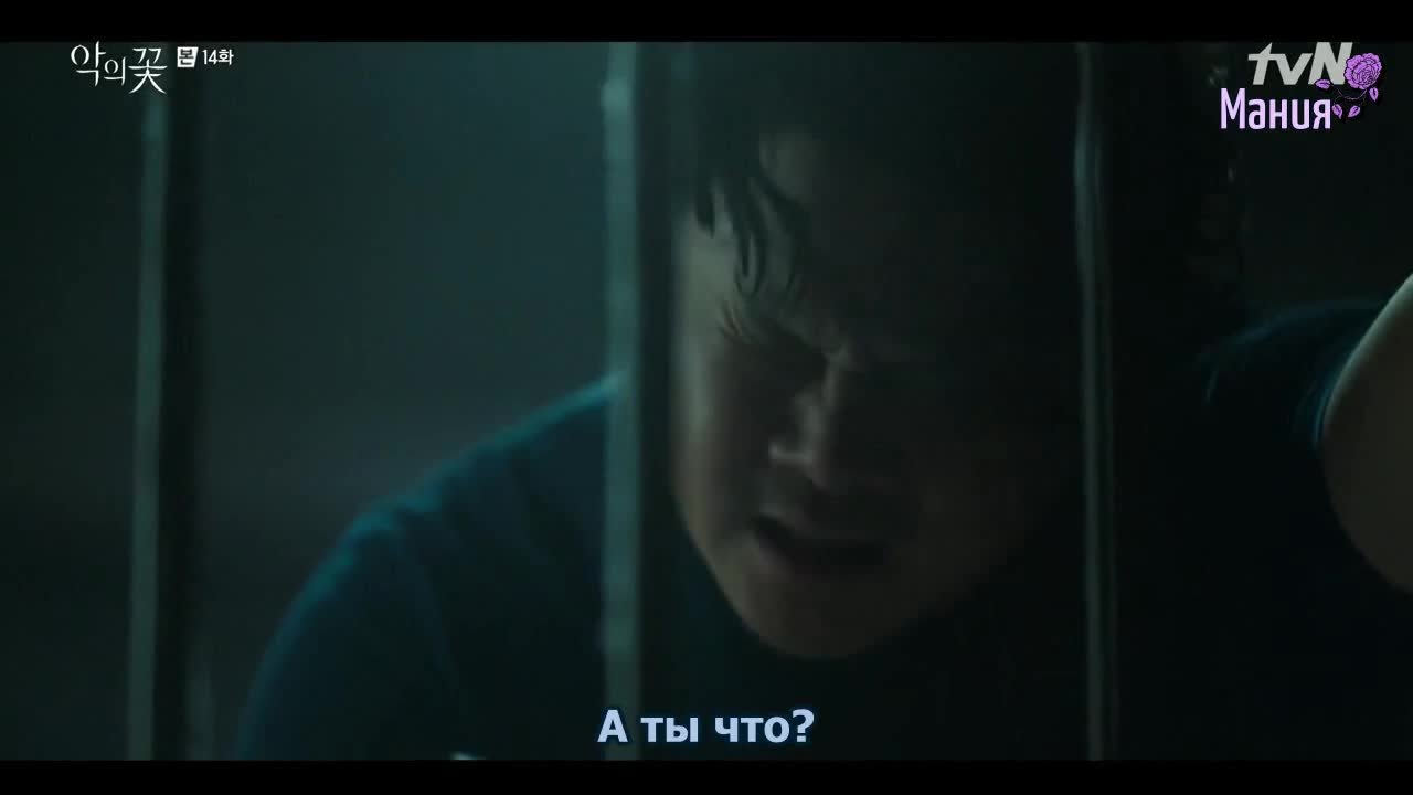 Цветок зла