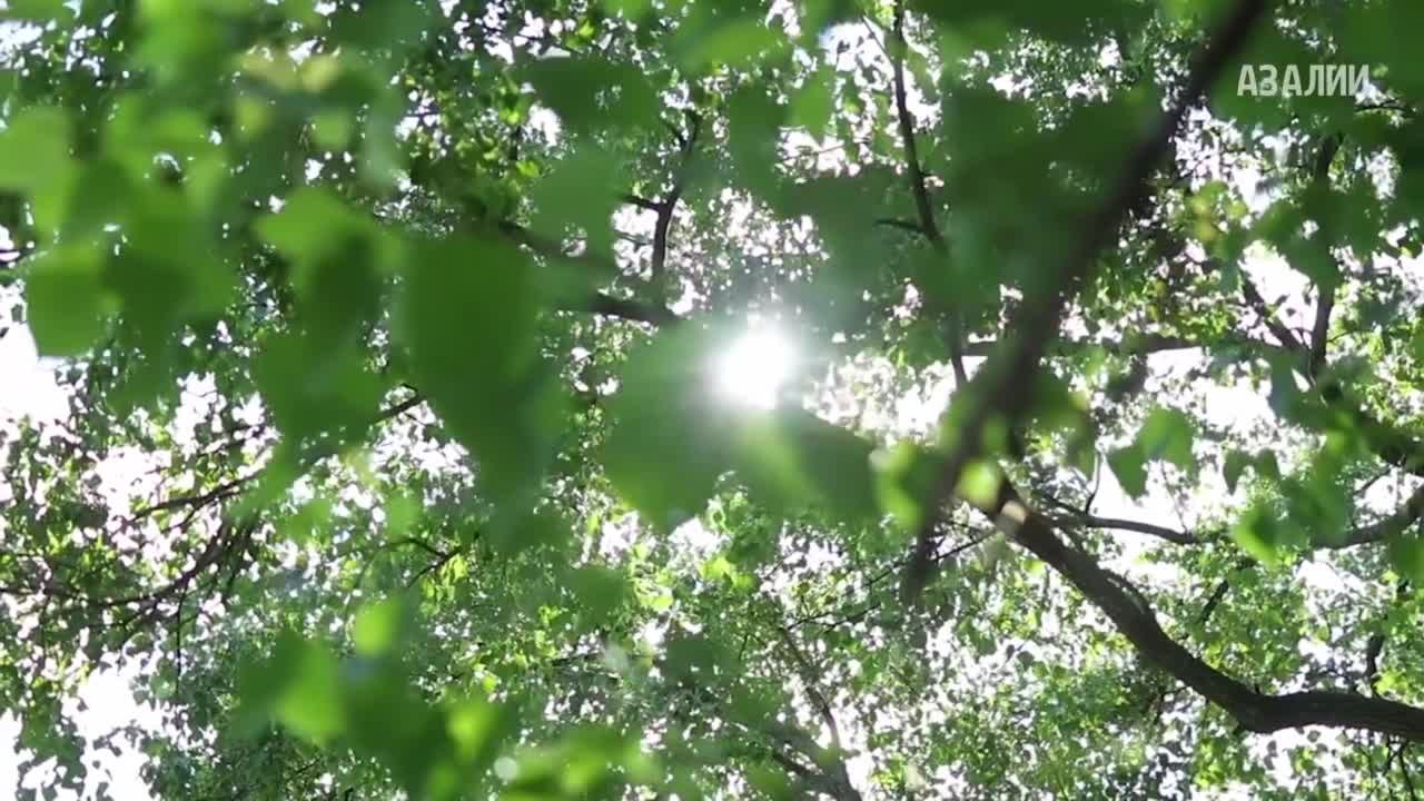 Дарую ей власть над собой