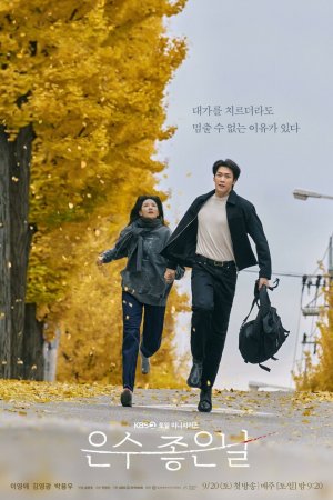 Турецкий сериал Удачный день Ын Су